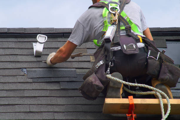 Best Roof Maintenance Services  in Trevorton, PA