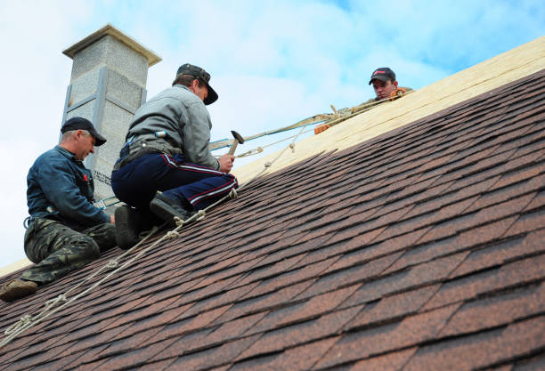 Quick and Trustworthy Emergency Roof Repair Services in Trevorton, PA