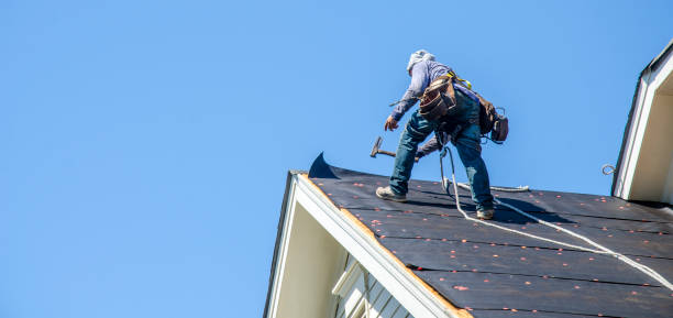 Best Roof Restoration Services  in Trevorton, PA